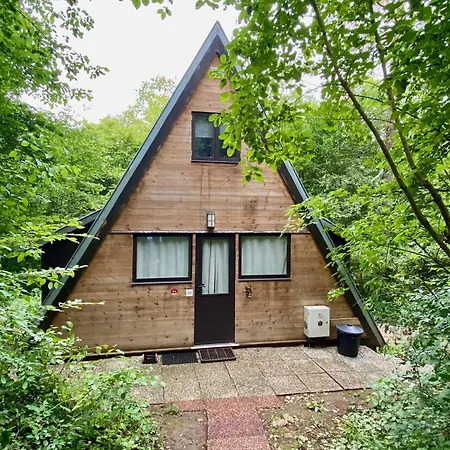 Absolute Relax In The Forest Casa vacanze *